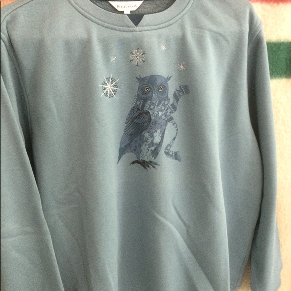 NWOT Size L Blue Northern Reflections Owl Sweatshirt - Picture 3 of 9